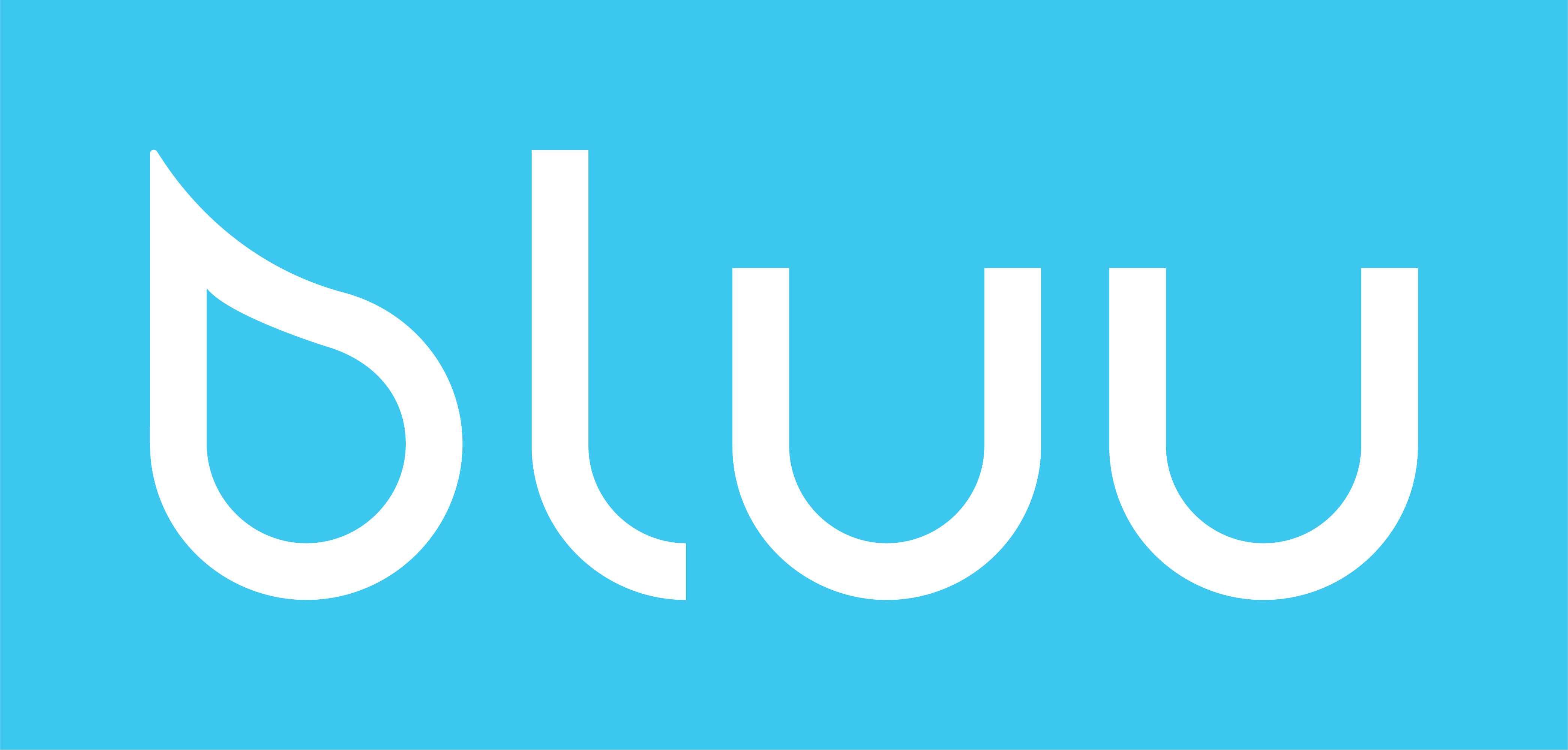 Link zur Homepage Bluu